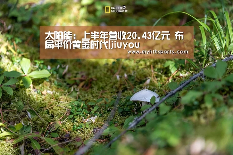 九游棋牌官网