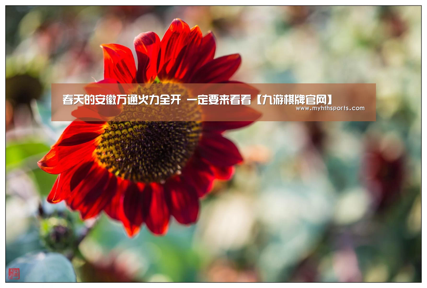 九游彩票